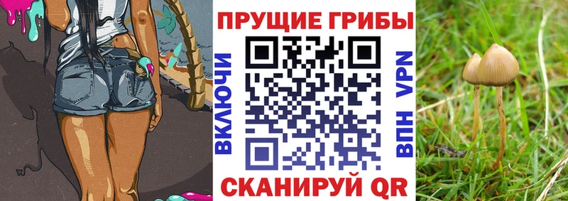 блэк спрут tor  Бугуруслан  Галлюциногенные грибы мухоморы 